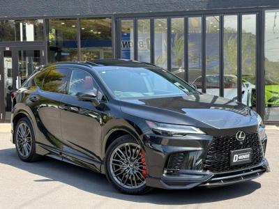 2024 LEXUS RX500H