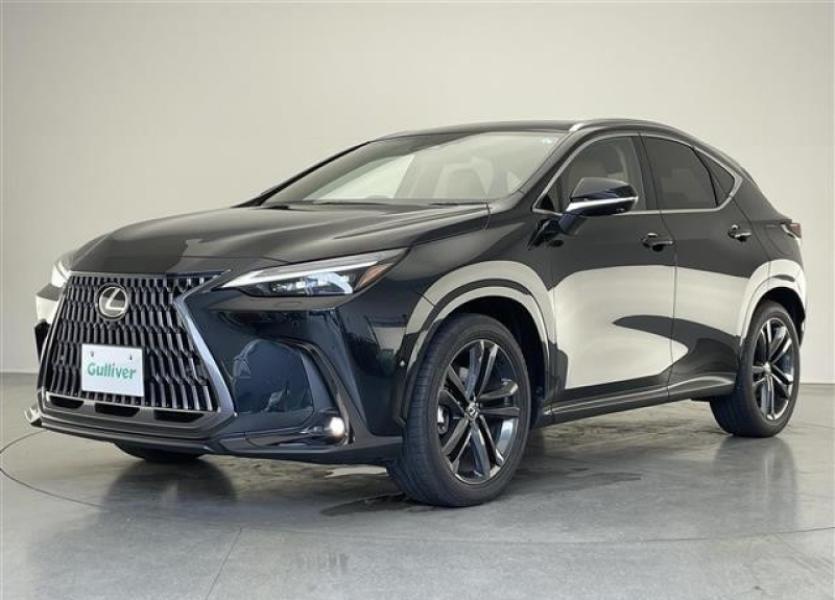 2024 NISSAN NX  350H