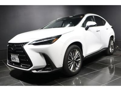 2025 LEXUS NX  NX350H VERSION L